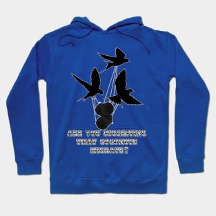 Are You Suggesting That Coconuts Migrate? Hoodie